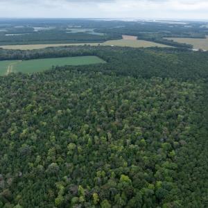 Photo #25 of NONE, NEW CHURCH, VA 151.9 acres