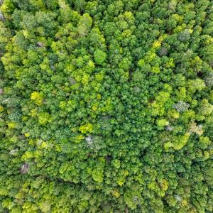 Photo #27 of NONE, NEW CHURCH, VA 151.9 acres