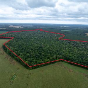 Photo #3 of NONE, NEW CHURCH, VA 151.9 acres