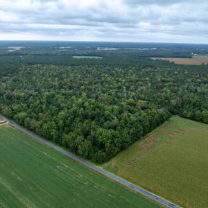 Photo #4 of NONE, NEW CHURCH, VA 151.9 acres