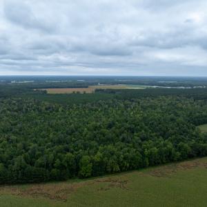 Photo #6 of NONE, NEW CHURCH, VA 151.9 acres