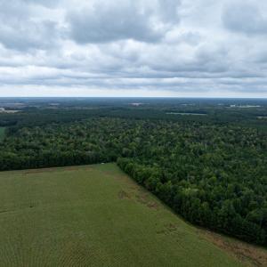 Photo #7 of NONE, NEW CHURCH, VA 151.9 acres