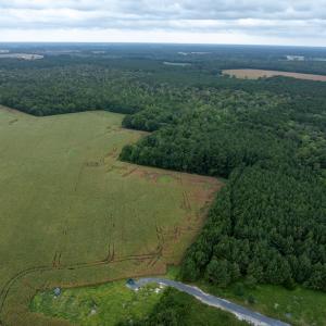 Photo #9 of NONE, NEW CHURCH, VA 151.9 acres