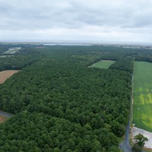 Photo #4 of WHITES NECK RD, PARKSLEY, VA 118.0 acres