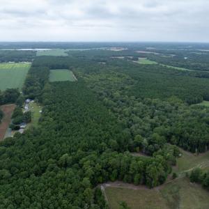 Photo #10 of WHITES NECK RD, PARKSLEY, VA 100.1 acres