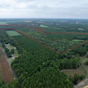 Photo #2 of WHITES NECK RD, PARKSLEY, VA 100.1 acres