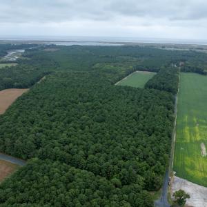Photo #5 of WHITES NECK RD, PARKSLEY, VA 100.1 acres