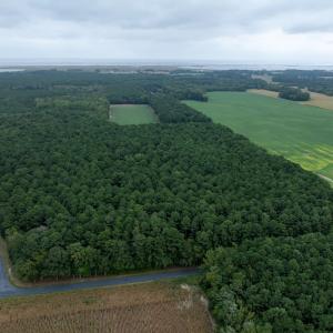 Photo #6 of WHITES NECK RD, PARKSLEY, VA 100.1 acres