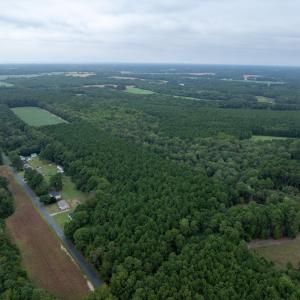 Photo #7 of WHITES NECK RD, PARKSLEY, VA 100.1 acres