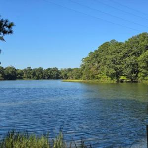 Photo #11 of Lot 30 BOWDEN LN, CAPE CHARLES, VA 1.3 acres