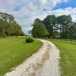 Photo #3 of ATLANTIC RD, ASSAWOMAN, VA 3.1 acres