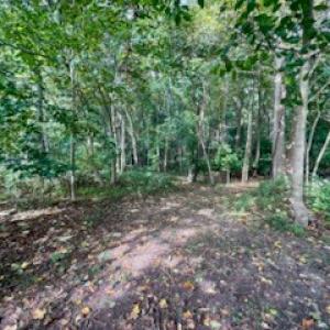 Photo #7 of ATLANTIC RD, ASSAWOMAN, VA 3.1 acres