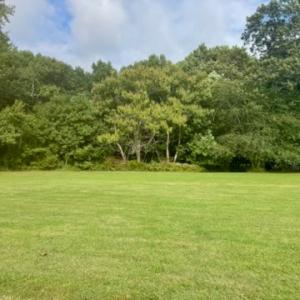 Photo #2 of ATLANTIC RD, ASSAWOMAN, VA 3.1 acres