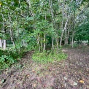 Photo #6 of ATLANTIC RD, ASSAWOMAN, VA 3.1 acres