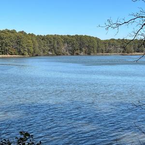 Photo #3 of Lot B HOLLY BLUFF DRIVE, FRANKTOWN, VA 2.7 acres