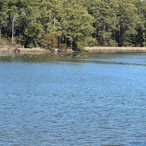 Photo #8 of Lot B HOLLY BLUFF DRIVE, FRANKTOWN, VA 2.7 acres