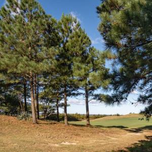 Photo #12 of 111 ABERDEEN WAY, CAPE CHARLES, VA 0.3 acres