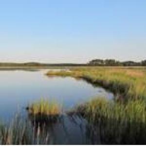 Nature Preserve waterways