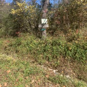 Photo #3 of TBD NAKED CREEK RD, ELKTON, VA 120.0 acres