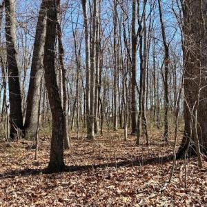 Photo #6 of TBD HOWARDSVILLE TPKE, STUARTS DRAFT, VA 2.5 acres