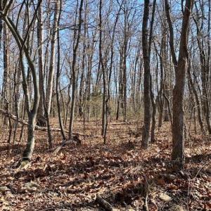 Photo #7 of TBD HOWARDSVILLE TPKE, STUARTS DRAFT, VA 2.5 acres