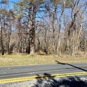 Photo #8 of TBD HOWARDSVILLE TPKE, STUARTS DRAFT, VA 2.5 acres