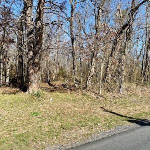 Photo #9 of TBD HOWARDSVILLE TPKE, STUARTS DRAFT, VA 2.5 acres