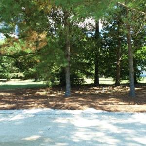 Photo #13 of 211 BLUE HEAVEN RD, CAPE CHARLES, VA 0.2 acres