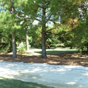 Photo #14 of 211 BLUE HEAVEN RD, CAPE CHARLES, VA 0.2 acres