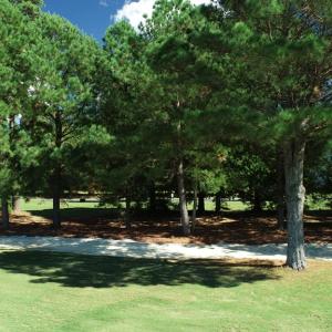 Photo #6 of 211 BLUE HEAVEN RD, CAPE CHARLES, VA 0.2 acres