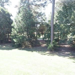 Photo #19 of 211 BLUE HEAVEN RD, CAPE CHARLES, VA 0.2 acres
