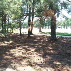 Photo #10 of 211 BLUE HEAVEN RD, CAPE CHARLES, VA 0.2 acres