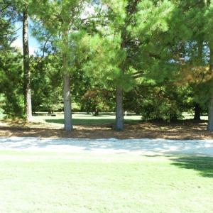 Photo #11 of 211 BLUE HEAVEN RD, CAPE CHARLES, VA 0.2 acres