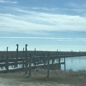 Photo #15 of Lot 443 SWAN DR, HORNTOWN, VA 0.1 acres