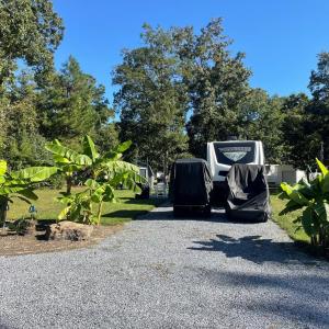 Photo #2 of Lot 443 SWAN DR, HORNTOWN, VA 0.1 acres