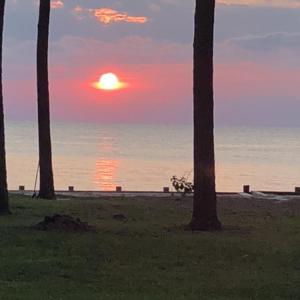 Photo #11 of Lot 4 PEACEFUL SHORES DR, EXMORE, VA 5.6 acres
