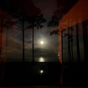 Photo #12 of Lot 4 PEACEFUL SHORES DR, EXMORE, VA 5.6 acres