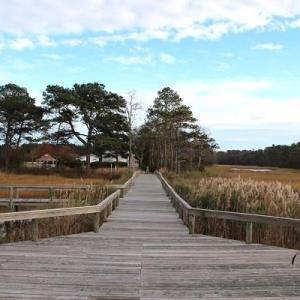 Photo #6 of Lot 4 PEACEFUL SHORES DR, EXMORE, VA 5.6 acres