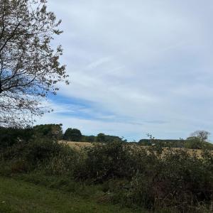 Photo #10 of - SEASIDE CIRCLE, PARKSLEY, VA 3.2 acres