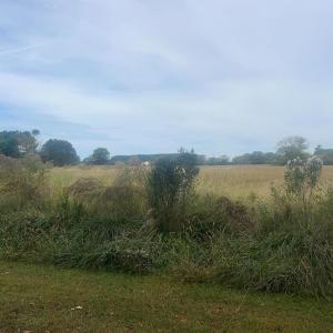 Photo #15 of - SEASIDE CIRCLE, PARKSLEY, VA 3.2 acres