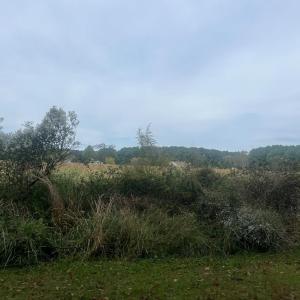 Photo #16 of - SEASIDE CIRCLE, PARKSLEY, VA 3.2 acres