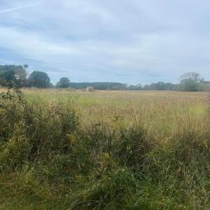 Photo #2 of - SEASIDE CIRCLE, PARKSLEY, VA 3.2 acres