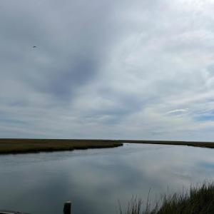 Photo #23 of - SEASIDE CIRCLE, PARKSLEY, VA 3.2 acres