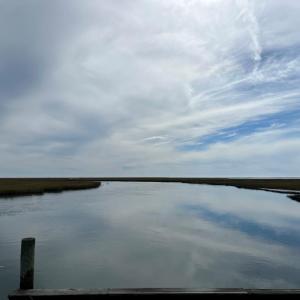Photo #25 of - SEASIDE CIRCLE, PARKSLEY, VA 3.2 acres