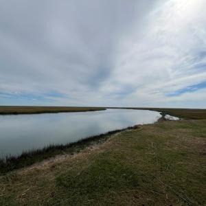 Photo #26 of - SEASIDE CIRCLE, PARKSLEY, VA 3.2 acres