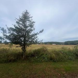 Photo #4 of - SEASIDE CIRCLE, PARKSLEY, VA 3.2 acres
