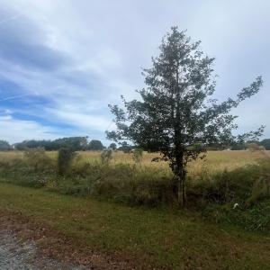 Photo #5 of - SEASIDE CIRCLE, PARKSLEY, VA 3.2 acres