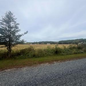 Photo #6 of - SEASIDE CIRCLE, PARKSLEY, VA 3.2 acres