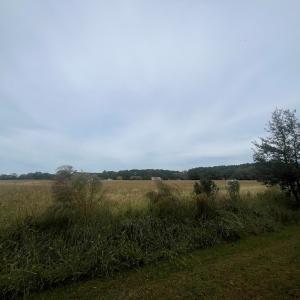 Photo #7 of - SEASIDE CIRCLE, PARKSLEY, VA 3.2 acres