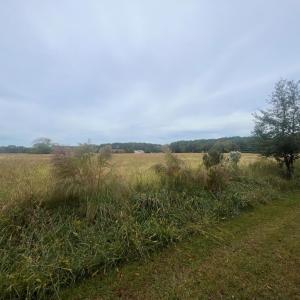 Photo #8 of - SEASIDE CIRCLE, PARKSLEY, VA 3.2 acres